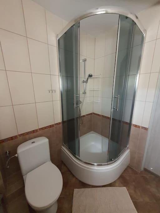 Sztukateria Apartment Podgorzyn