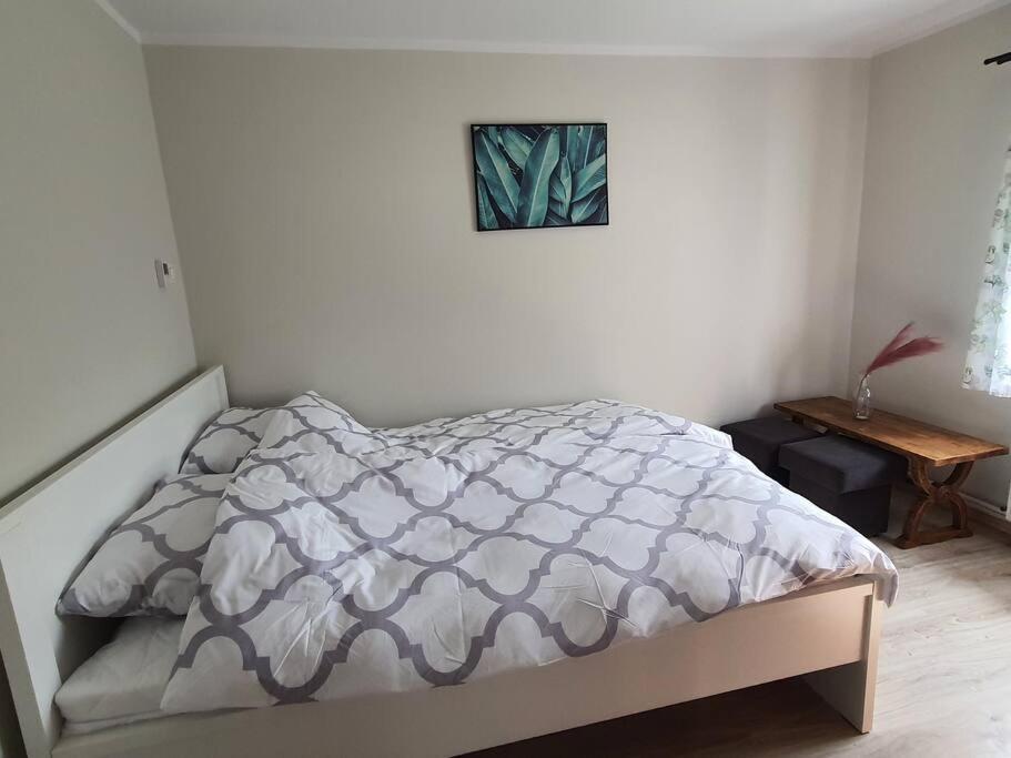 Apartment Sztukateria *